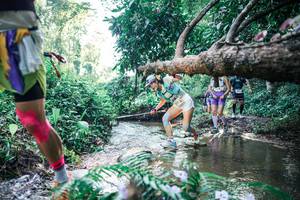 BIB: 
                            <button type="button" onclick="openModal(25437970)" class="btn btn-primary btn-sm float-right btn-popup" data-toggle="modal" data-target=".modal-high-quality">
                        <i class="fas fa-shopping-cart"></i> Add to Cart
                    </button>
                                            <button type="button" onclick="isThisMe(25437970, true)" class="btn btn-success btn-sm float-right btn-popup btn-isme hidden" data-toggle="tooltip" data-placement="bottom" title="นี่คือรูปของคุณใช่ไหม คลิกที่นี่เพื่อเอาเข้าอัลบั้ม">
                        <i class="fas fa-plus"></i> Add to album
                    </button>
                    <button type="button" onclick="isThisMe(25437970, false)" class="btn btn-warning btn-sm float-right btn-popup btn-isnotme hidden">
                        <i class="fas fa-ban"></i> Remove from album
                    </button>